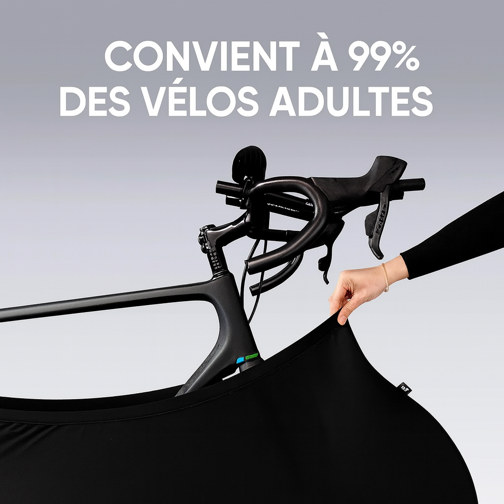 VéloSoin Aurore Boréale